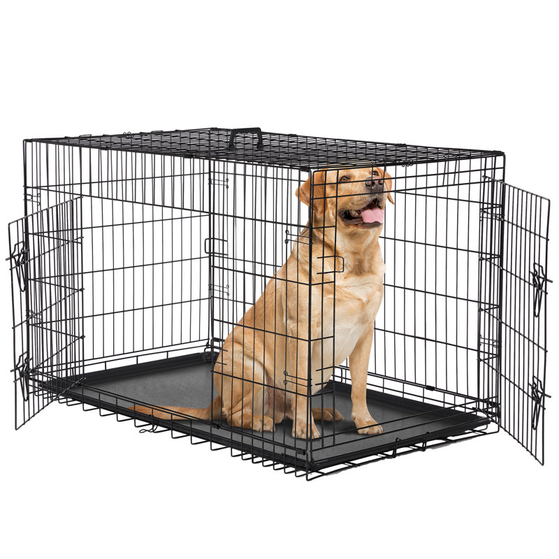 Caisse pour chien pliante pour animaux, H 31,29 po x l 48,42 po x P 29,33 po