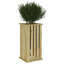 Planter Box-1813339563