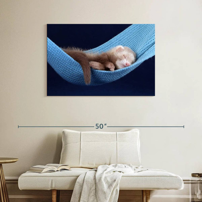 Brampt Ferret Hammock