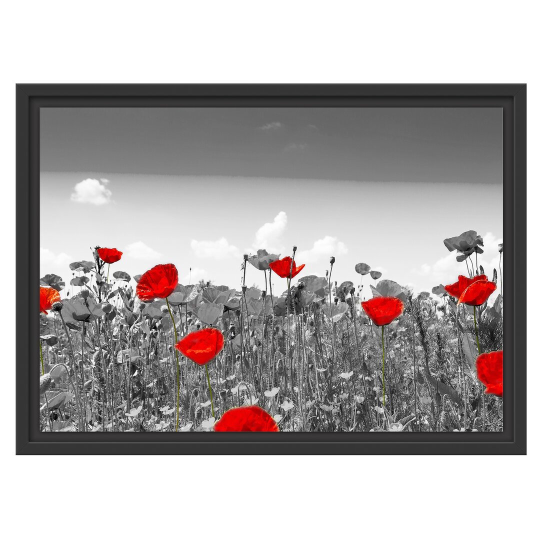 Gerahmtes Wandbild schöner rot leuchtender Mohn