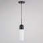 Mini luminaire suspendu contemporain Treveion-1706365360