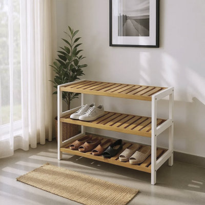 Robscott 12 Pair Shoe Rack
