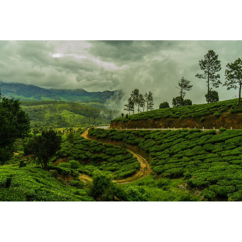 Monsoon In Indian Tea Plantation by Joseph White - Wrapped Canvas Print, 30cm H x 46cm W
