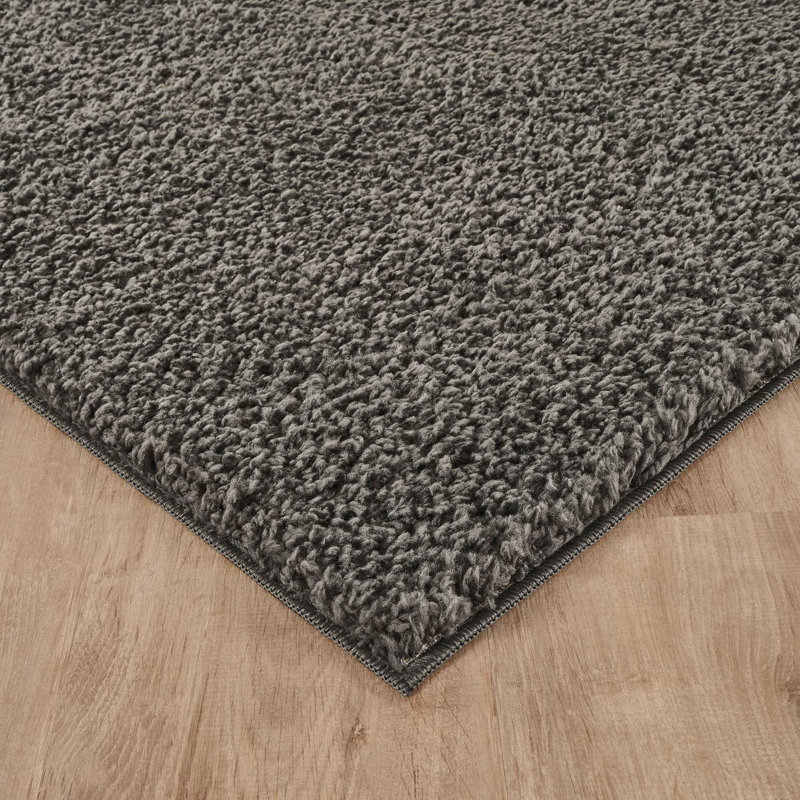 Ainsley Plain Living Room Shaggy Area Rug Modern Soft Pile Polyester Rug, Rectangle 160 x 230 cm, Dark Grey