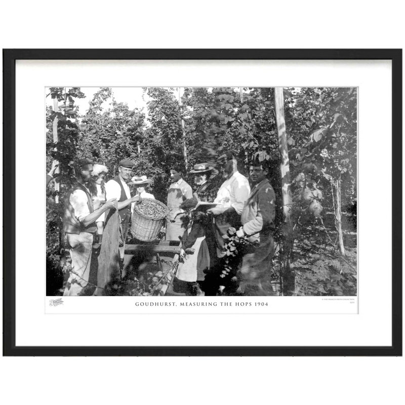 Goudhurst, Measuring The Hops 1904 - Single Picture Frame Print, 28cm H x 36cm W x 2.3cm D