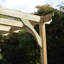 Bavani Solid Wood Pergola-1180198527-1148838947