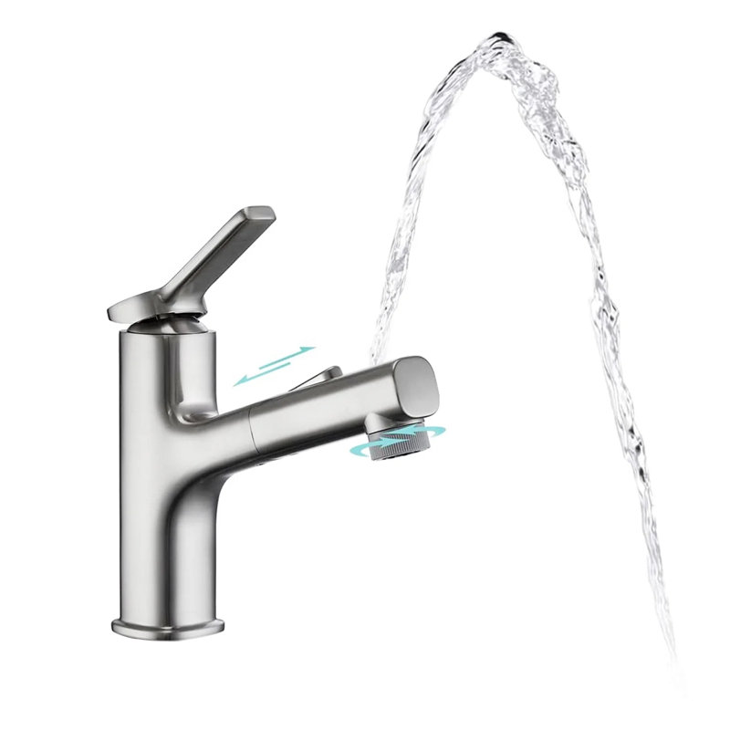 Robinet pour salle de bain à poignée simple avec douchette extractible, Nickel brossé