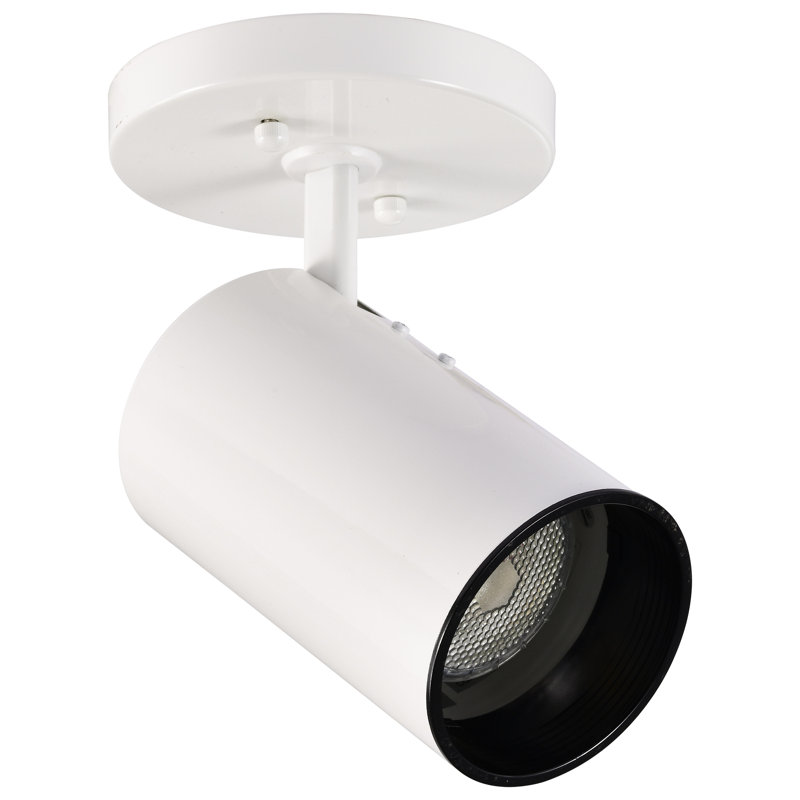 Barreto 1 Light - R20 - Straight Cylinder Flush Mount