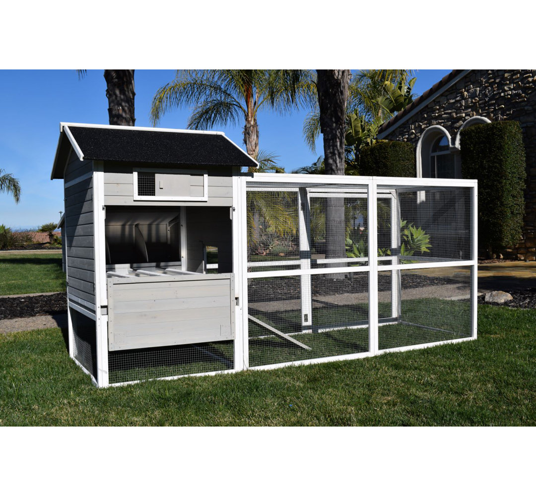 Chelsea-May 19.1 Square Feet Chicken Coop with Chicken Run For Up To 6 Chickens Tucker Murphy Pet™
