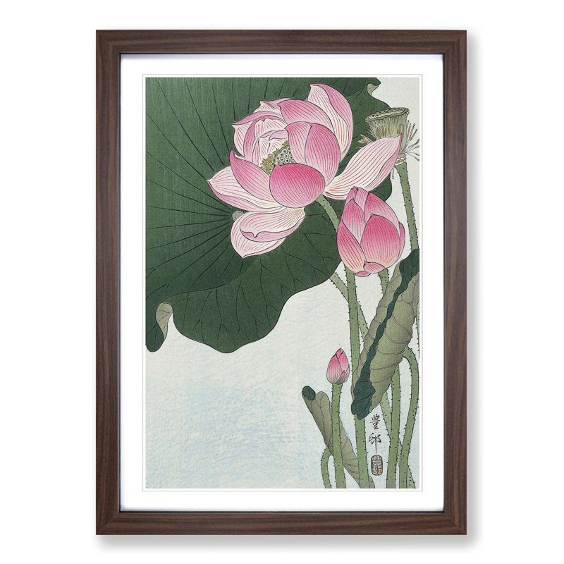 Pink Lotus Flower by Ohara Koson - Picture Frame Painting Print on MDF, 36cm H x 27cm W x 2cm D, Walnut Framed