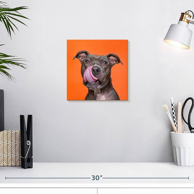 Brampt Silly Pet Pit Bull, 10" H x 10" W