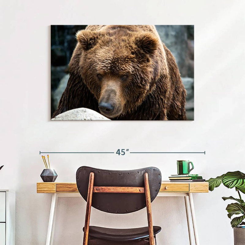 Brampt Kamchatka Brown Bear, 26" H x 39" W