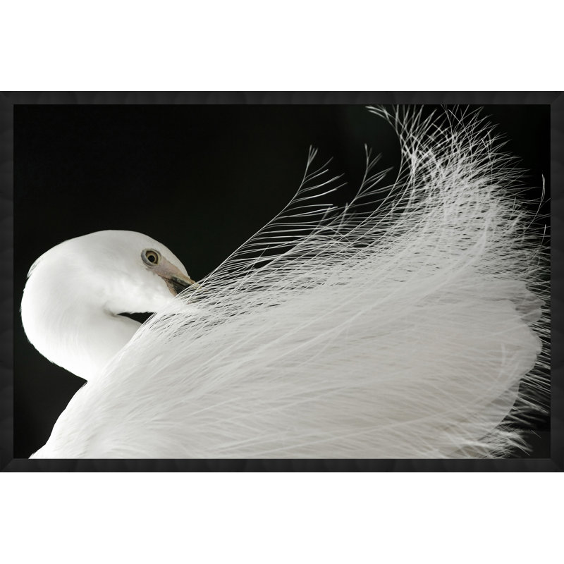 Exquisite Egret Print by Lillian August