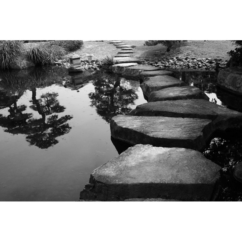 Stepping Stones - Photographie sur toile tendue, H 8 po x l 12 po