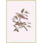 Nesting Navigators Pink 6 Print-1398237638