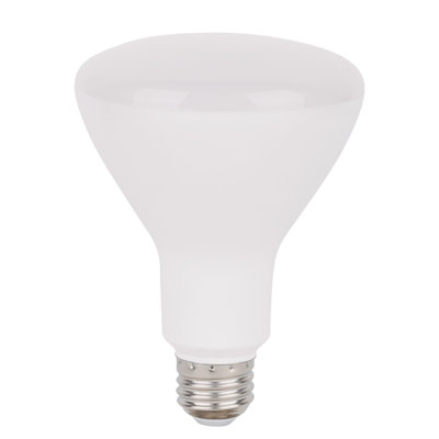 8 Watt BR30 E26/Medium (Standard) Dimmable Bulb