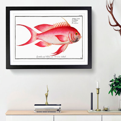 Red Grunt Fish by M.E. Bloch - Picture Frame Painting Print