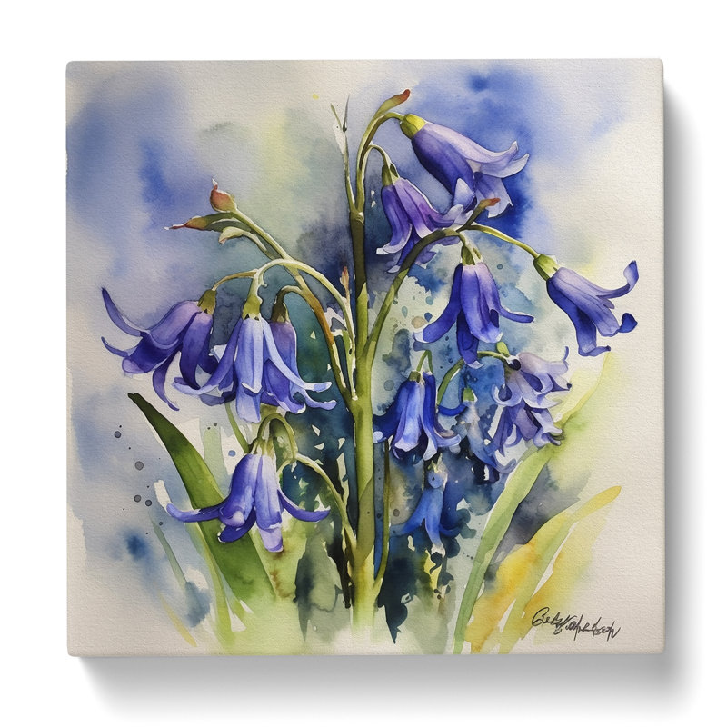 Bluebell Watercolour - Wrapped Canvas - Framed Print, 50cm H x 50cm W x 3cm D