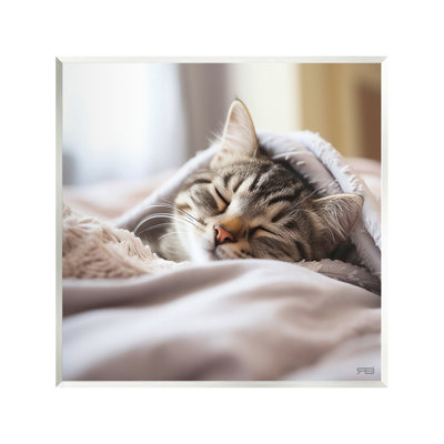 «Cozy Sleeping Kitten», art mural par RB