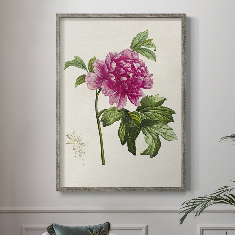 PrettyPinkBotanicalsI, reproduction encadrée - bois massif 2768828, H 11 po x l 9 po