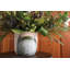 Ramage Ceramic Planter-635527234
