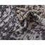 Tapis intérieur / extérieur gris anthracite Cowart-1220857968