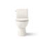 Reach™ 1.28 GPF Water Efficient Elongated Toilet-107149311