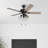Arlea 42" Ceiling Fan with LED Lights-1670024343