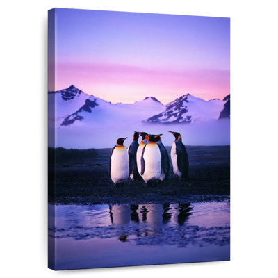 Brampt Huddled Penguins