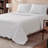 Champion Printed Microfiber Sheet Set-128580184-128580188
