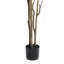 Faux Bonsai Tree in Pot-760590337