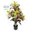 Arbre croton artificiel en pot Real Touch-1450169625