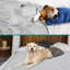 PET - B3022C Nylon rafraîchissant-95187681-95187685