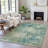 Machine Washable Indoor/Outdoor Xhevrie Teal Rug-111946774