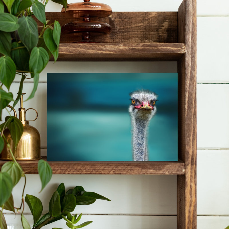 Curious Ostrich Portrait Contemporary Bird Wall Art Print by Piet Flour - Wrapped Canvas Print, 30.48cm H x 45.72cm W