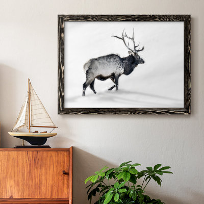 " Lone Bull "