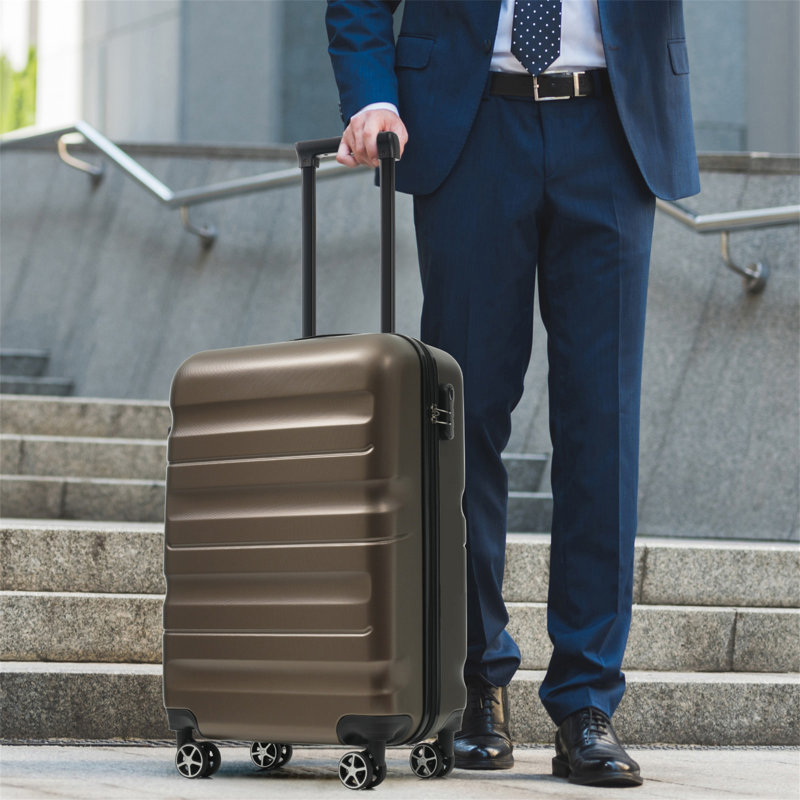 Hardshell ABS Luggage Set, 24-Inch Checked Suitcase with Spinner Wheels, Lightweight Travel Luggage with 2 Packing Cubes for Men & Women