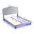 Button Grey Velvet Upholstered Bed For Queen - Curve Design Robust Wood Slat Foundation Led Lights Easy Assembly No Box Spring Necessary In Appearance Stable Stand Simple Requirement-1068223394