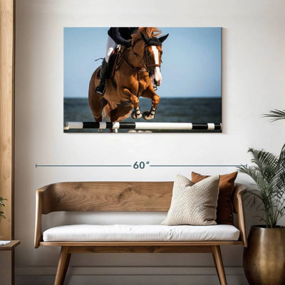 Sireci Equestrian
