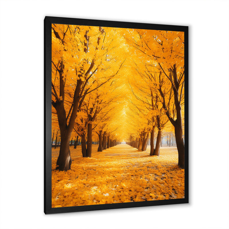 «Tree Golden Autumn Canopy I», reproduction sur toile, Cadre photo noir, H 20 po x l 12 po x P 1 po