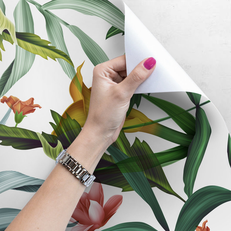 Zyyon 2.5m x 2.5m Matte Mural, 416 x 254cm
