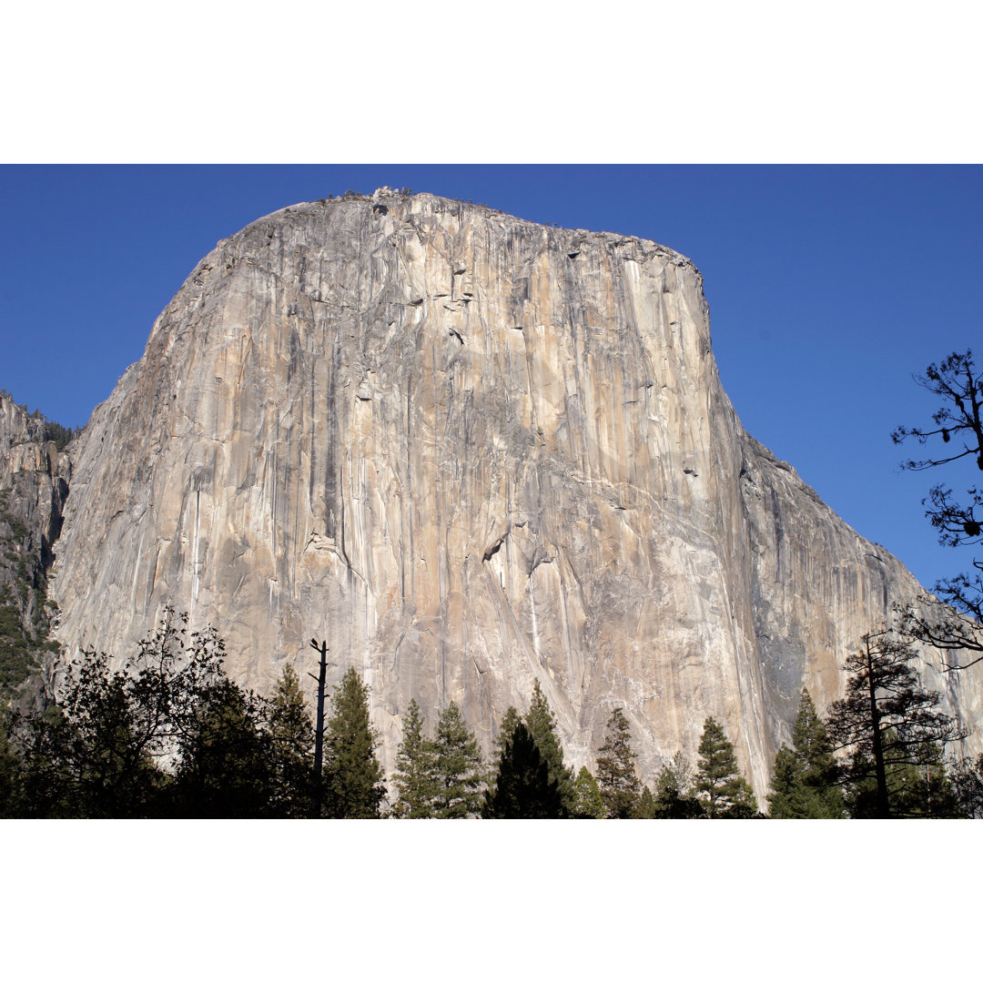 Yosemite National Park von Rramirez125 - Leinwandfoto