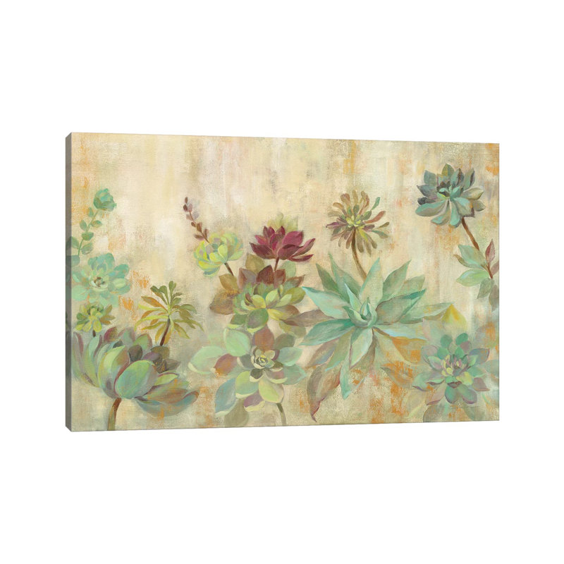 «Succulent Garden» par Silvia Vassileva - reproduction d'art, H 8 po x l 12 po x P 0,75 po, Toile tendue, Pas de tapis