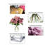 Arrangement floral rose dans un vase-656490578