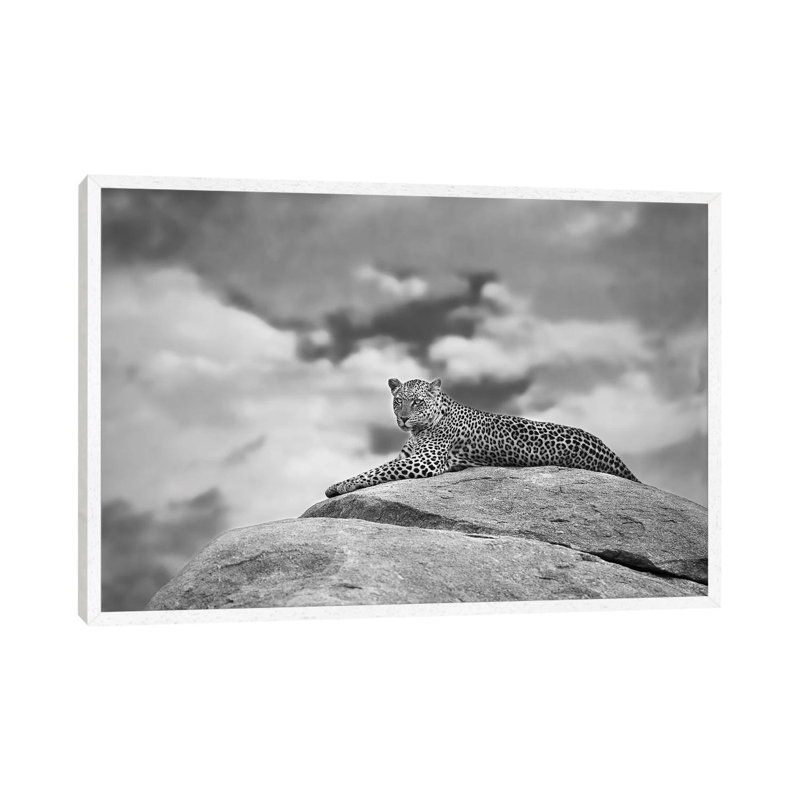 Leopard On A Kopje by Mario Moreno - Print on Canvas, 45.72cm H x 66.04cm W x 3.81cm D, White Floater Framed