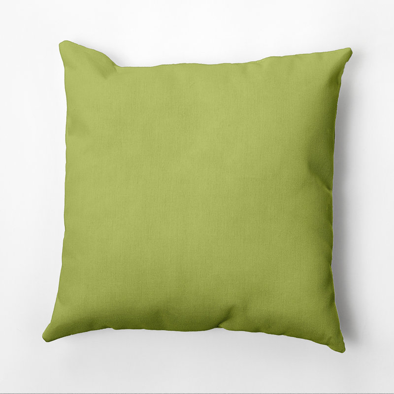 Housse de coussin Ajibola, Vert, 26 po x 26 po, Polyester/ bourre en polyester