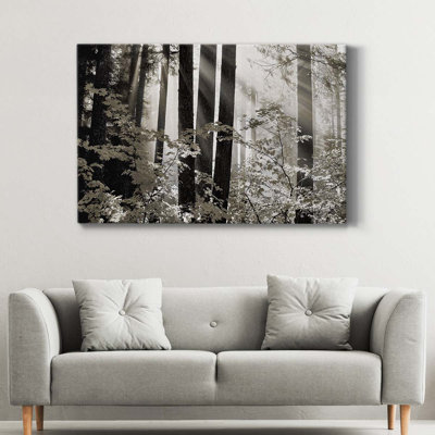 Misty Forest " Misty Forest "