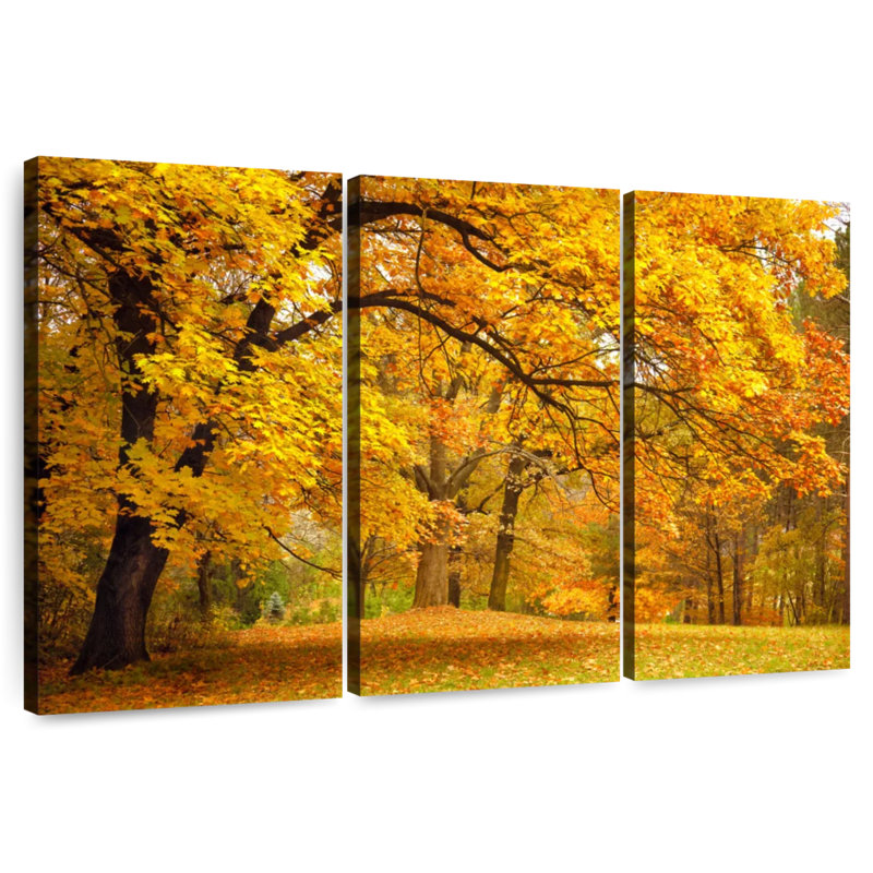 Alvord Autumn Trees Foliage, 28" H x 45" W