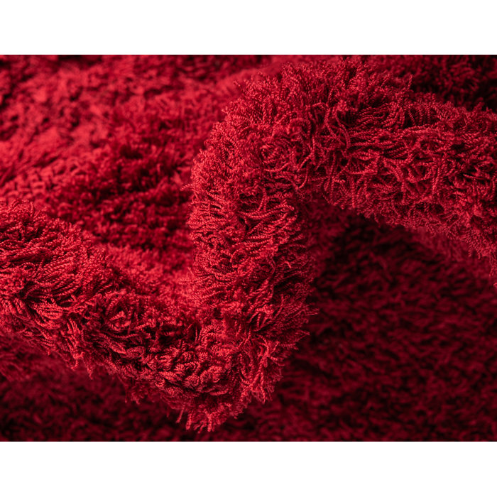 Charlton Home® Baynes Performance Blood Red Rug & Reviews | Wayfair