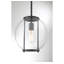 Luminaire suspendu d'extérieur 1 lumière H 10,75 po Fosdick-1564764588